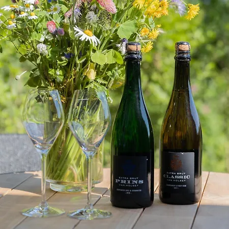 ベッド・アンド・ブレックファスト Domein Holset Bruisendwijnhuis Lemiers