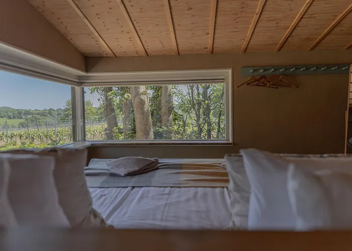 Domein Holset Bruisendwijnhuis Bed and breakfast 3*