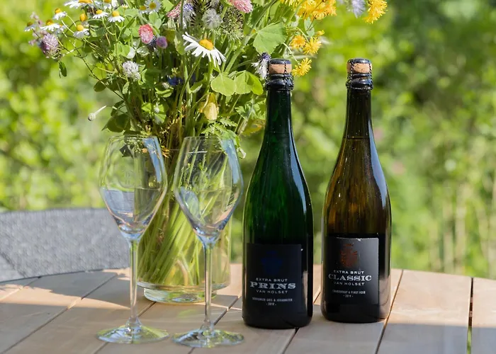 Bed and breakfast Domein Holset Bruisendwijnhuis Lemiers