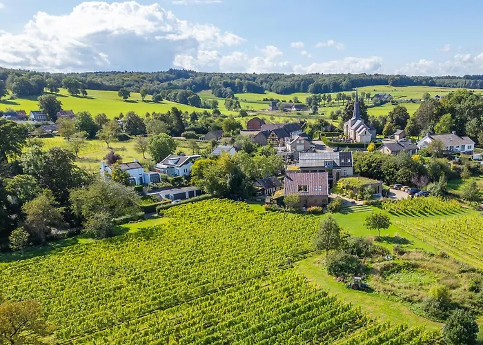 Domein Holset Bruisendwijnhuis 3*