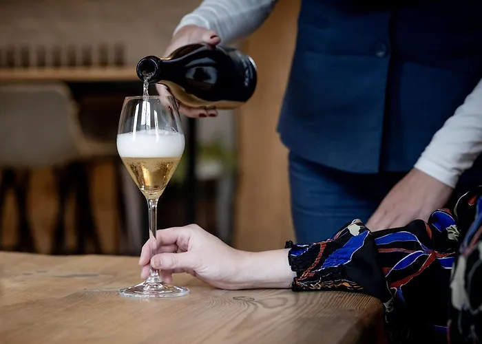 Domein Holset Bruisendwijnhuis Frühstückspension 3*